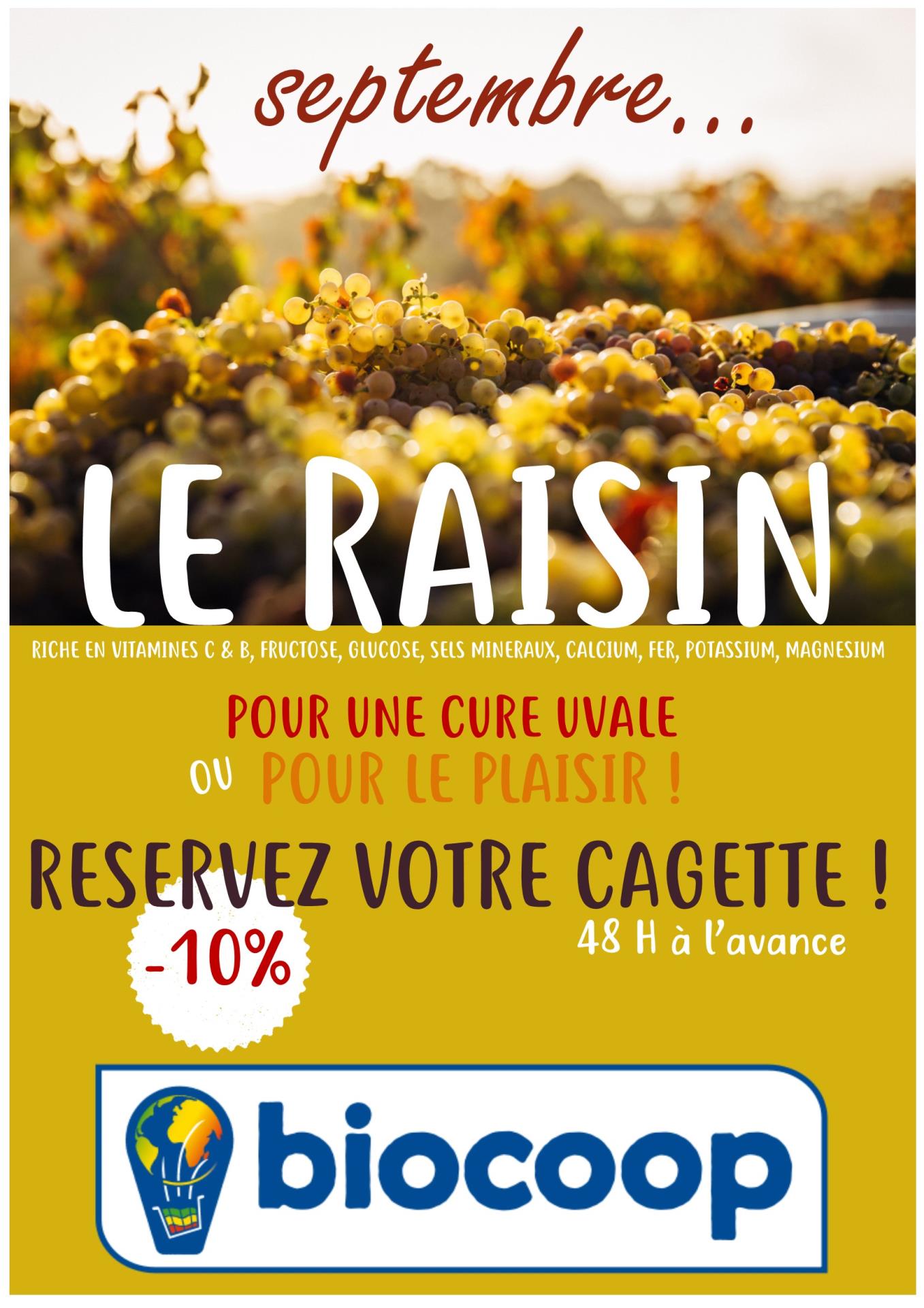 LA CURE UVALE...les bienfaits du raisin !! LA CURE UVALE...les bienfaits du raisin !!