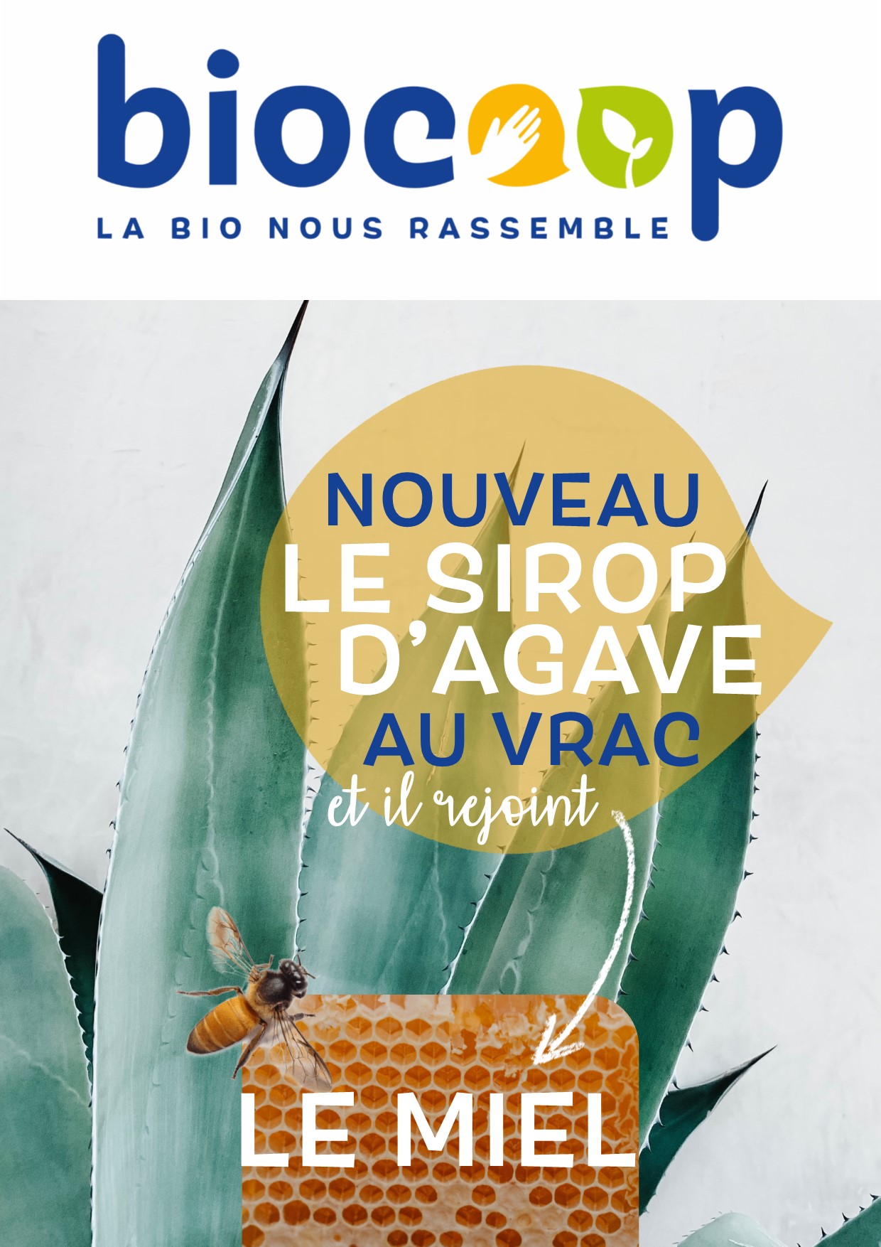 LE SIROP D'AGAVE À LA GOUTTE PRÈS !