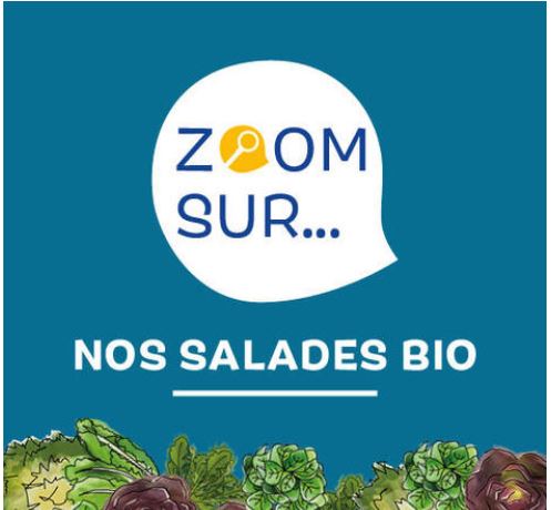 La filière "salades" chez Biocoop